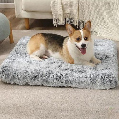 Lit chien moelleux en fausse fourrure gris, taille moyenne pour confort et détente
