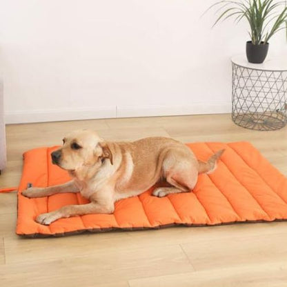 Un Labrador allongé sur un lit de camping pour chien orange doux et confortable dans une terrasse chaleureux
