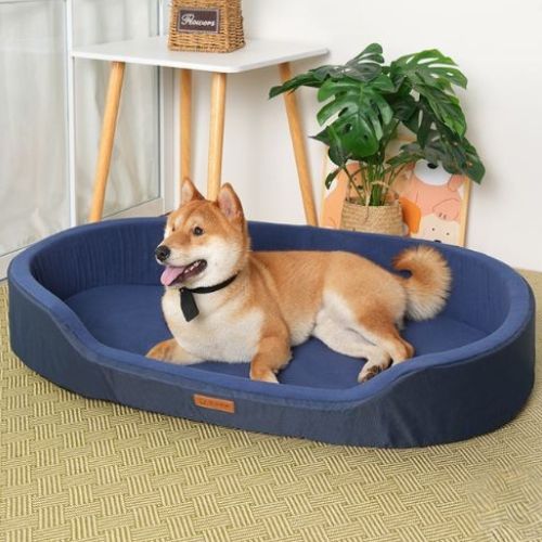 Un Shiba-Inu allongé dans un lit pour chien XXL lavable bleu avec rebords surélevés offre un sentiment sécurisant 