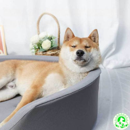 lit-pour-chien-XXL-large-durable-confortable-rebords-sureleves