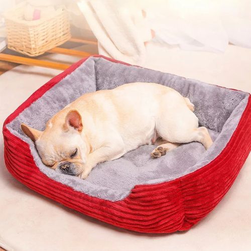 Petit bouledogue dort paisiblement dans un lit pour chien en peluche rouge, offrant un sommeil réparateur et bien-être au quotidien.