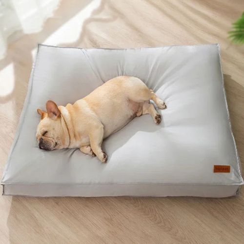 Chien Bouledogue Français dort paisiblement dans un lit pour chien gris confortable et apaisant