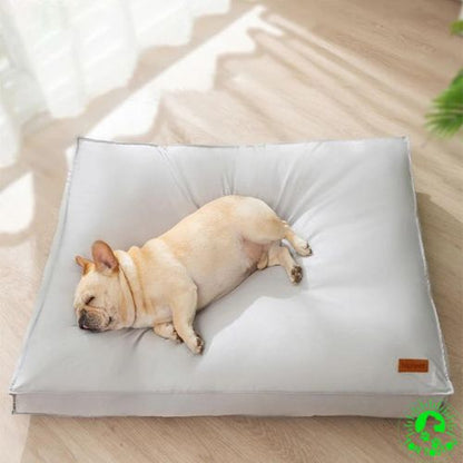 lit-pour-chien-apaisant-confortable