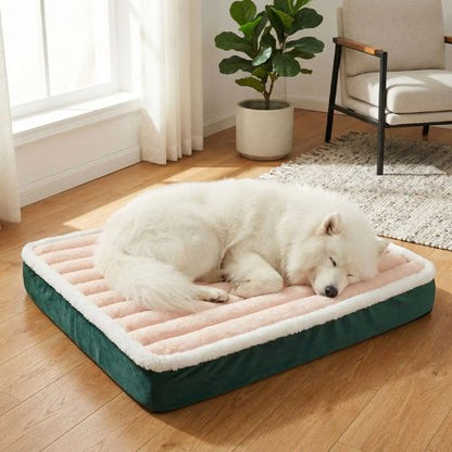 Un chien installé paisiblement sur un Lit pour chien orthopédique beige épais et moelleux, disponible en plusieurs tailles et couleurs offrant un sommeil réparateur