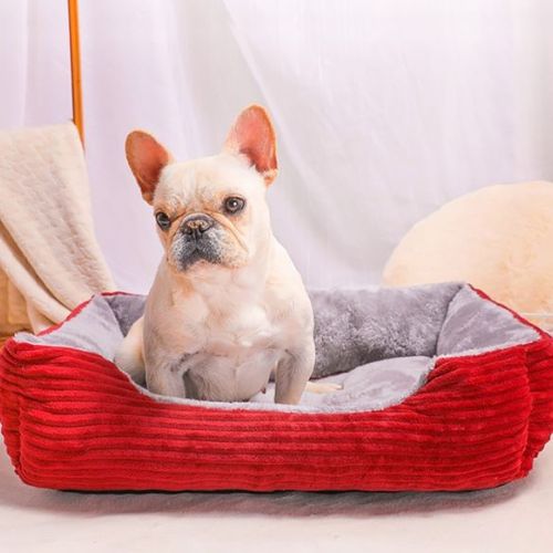 Bouledogue installé dans un lit pour chien rouge, alliant confort, style et bien-être.