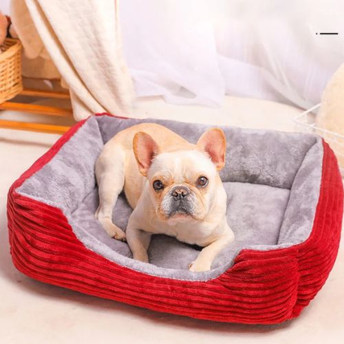 Chien détendu dans un lit pour chien moelleux et cocooning, conçu pour assurer chaleur et sécurité.