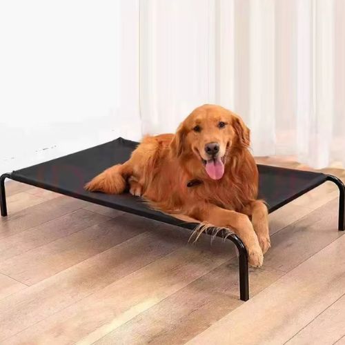 Lit pour chien surélevé | HautLit™