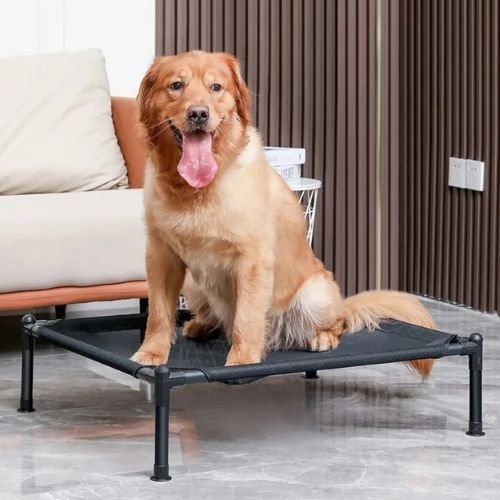 Lit surélevé pour chien de grand taille pratique et résistant, offrant confort et ventilation pour un repos sain et durable.