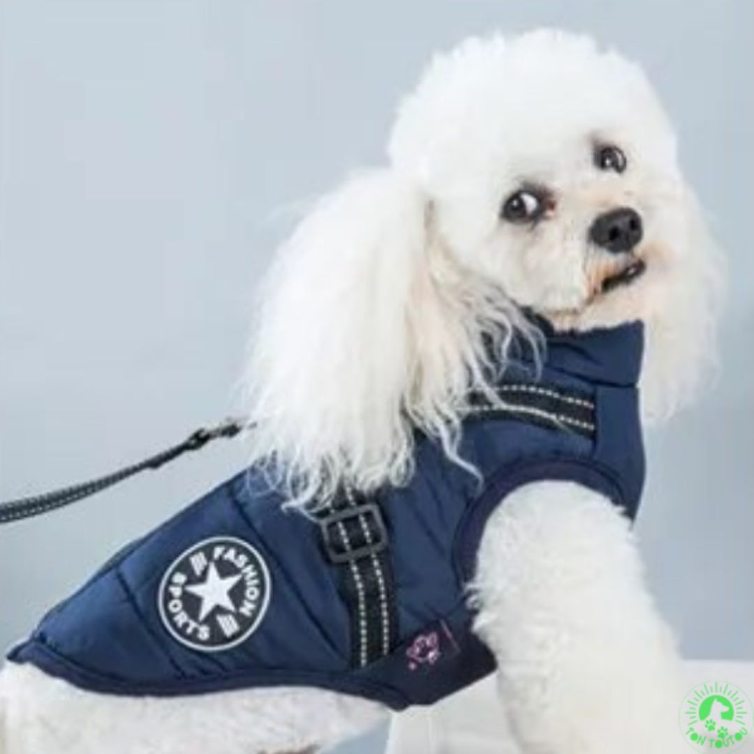 manteau-pour-chien-avec-harnais-integre-bleu