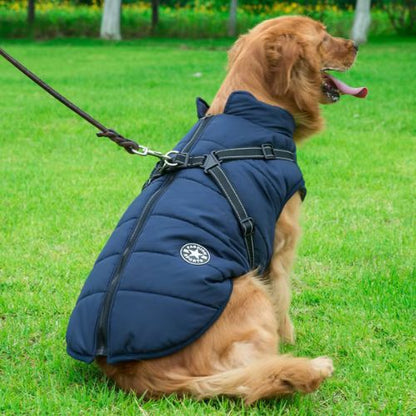 Chien en promenade équipé d’un manteau pour chien étanche bleu avec harnais intégré