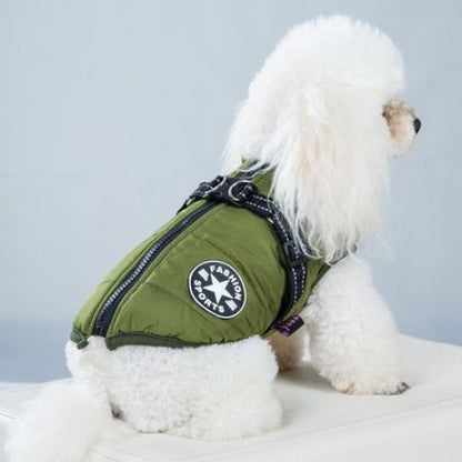 Caniche portant un manteau pour chien vert imperméable avec harnais intégré
