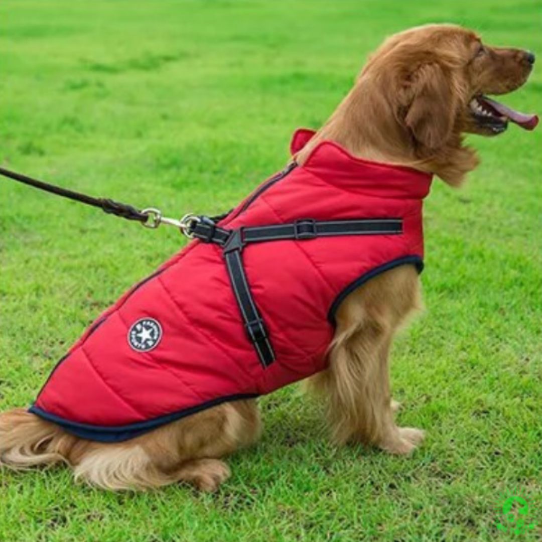 manteau-pour-chien-rouge