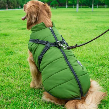 Chien portant un manteau pour chien vert imperméable avec harnais intégré.