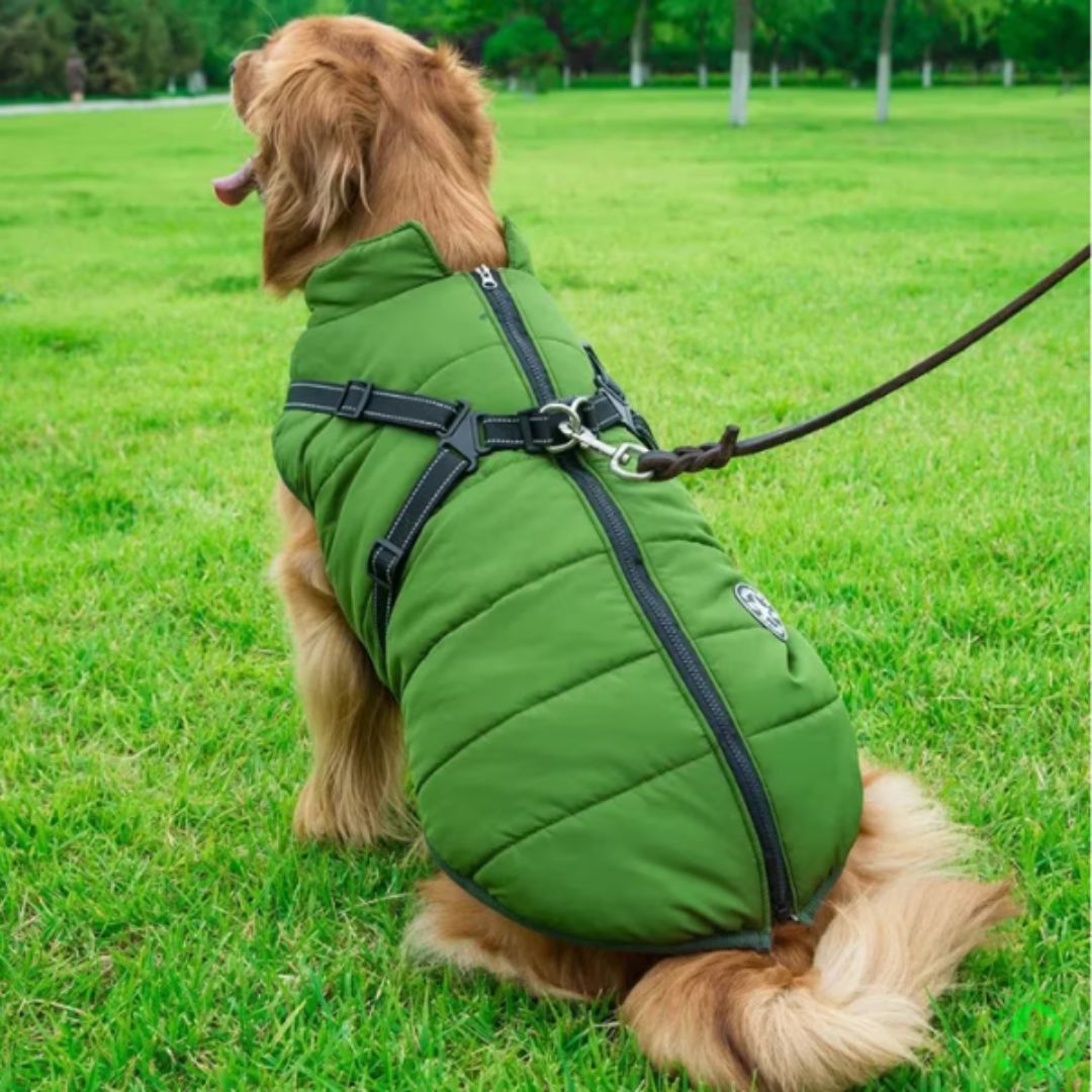 manteau-pour-chien-vert