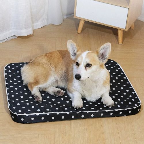 matelas chien noir moderne avec surface douce et accueillante