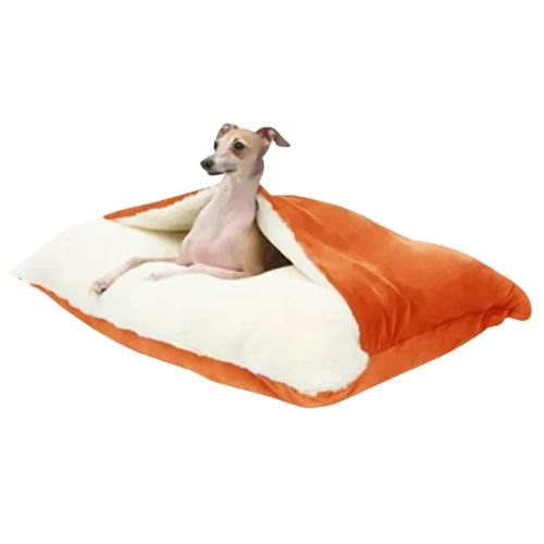 Un chihuahua assis sur un matelas chien orange anti stress pour un repos confortable au quotidien