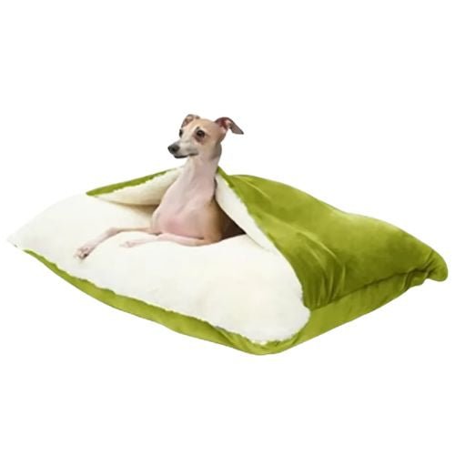 Un chien allongé sur son matelas chien vert lavable avec surface douce et rembourrage épais