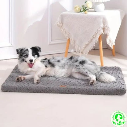 matelas-pour-chien-apaisante-orthopedique-cosy-petit-moyen-grand-taille-facile-a-nettoyer-amovible-dehoussable-doux-au-toucher-antiderapant-impermeable-dogmat