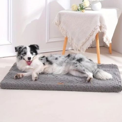 Chien blanc et gris allongé sur un matelas pour chien doux et apaisant, parfait pour le repos et la récupération.