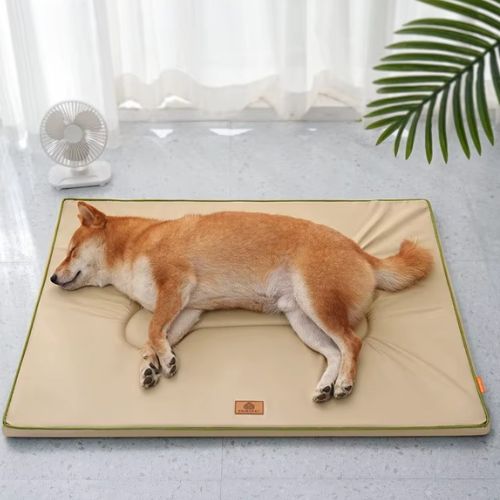 Un Shiba Inu allongé sur un matelas pour chien beige, déhoussable et confortable pour usage quotidien