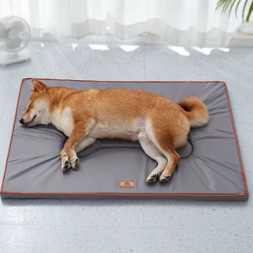 Un Shiba Inu allongé sur son matelas pour chien confortable gris.