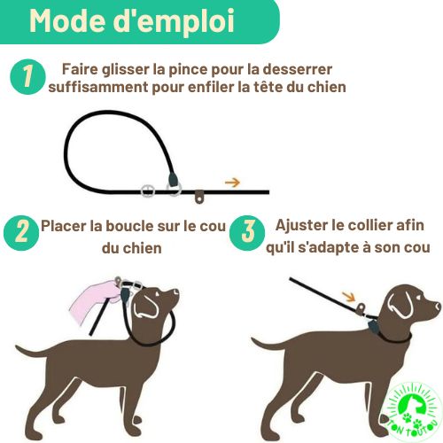 mode-d-emploi-laisse-pour-chien