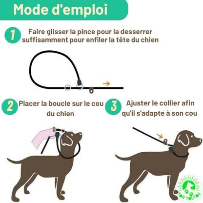 mode-d-emploi-laisse-pour-chien