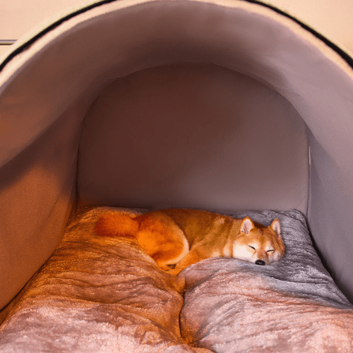 Chien allongé confortablement à l'intérieur d'une niche XXL pour chien respirante et chaleureux