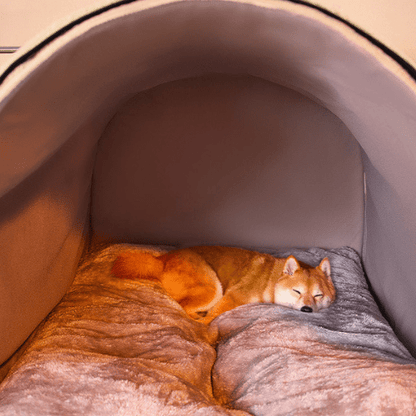 Chien allongé confortablement à l'intérieur d'une niche XXL pour chien respirante et chaleureux