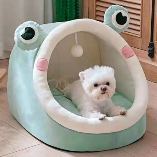 Un petit chien blanc installé confortablement dans une niche interieur chien format une grenouille verte cosy et douillet. 