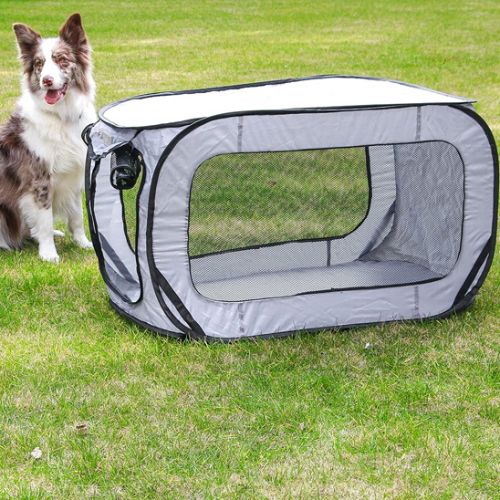 Niche pour chien pliable gris en tissu aéré, installée sur une pelouse avec un Border Collie assis à côté, idéale pour l’extérieur et le camping.