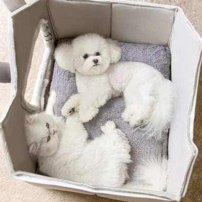 Niche pour chien intérieur en forme de maisonnette avec un petit chien et chat blanc installé paisiblement dans une ambiance cocooning et tamisée.