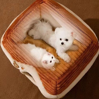 niche marron dedans chien et chat blanc