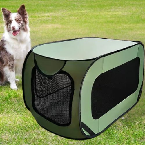 Niche pour chien pliable verte en tissu aéré, installée sur une pelouse avec un Border Collie assis à côté, idéale pour l’extérieur et le camping.