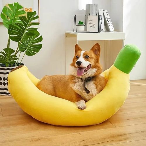 Chien allongé dans un panier à chien en forme de banane, couchage original et moelleux placé dans un salon lumineux.