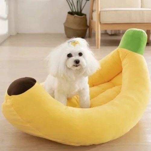 Un mignon petit chien blanc assis dans le panier à chien doux et moelleux en forme de banane design originale en forme de banane
