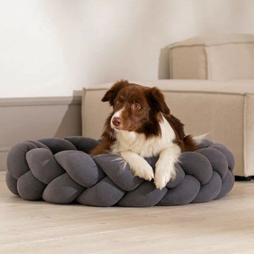 panier à chien en forme de tresse rembourrée, coloris bleu, avec chien dedans