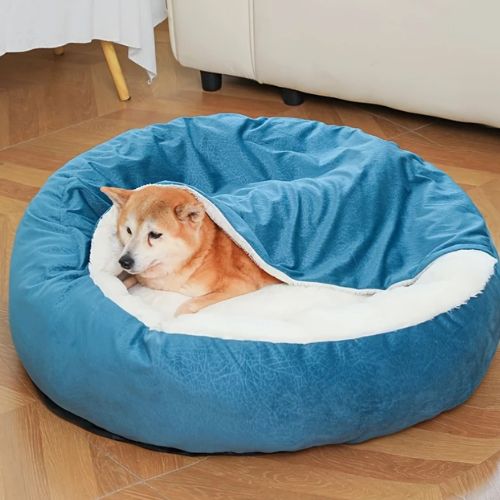 Chien installé dans un panier chien bleu moelleux avec couverture intégrée, posé sur un sol en parquet en bois.