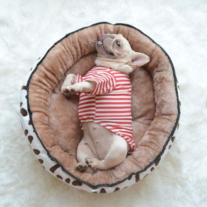 Petit chien allongé dans un panier apaisant motif girafe avec intérieur en peluche, couchage confortable pour chien anxieux