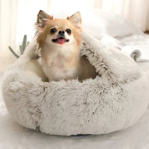 Petit chien à poils longs assis dans un panier chien gris en forme de nid, doux et moelleux, dans un intérieur lumineux et cosy.