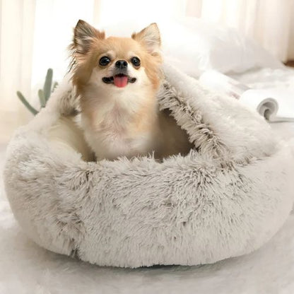Petit chien à poils longs assis dans un panier chien gris en forme de nid, doux et moelleux, dans un intérieur lumineux et cosy.