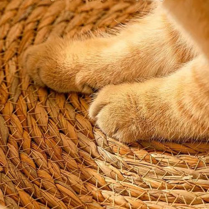 Panier Chien Osier | Luxpanier™