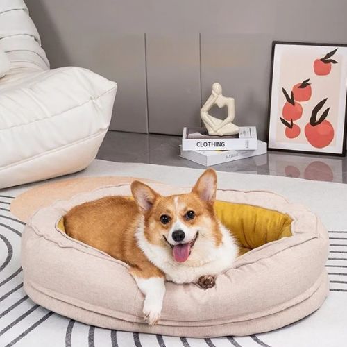 Chien Corgi détendu dans un panier orthopédique chien déhoussable beige avec intérieur jaune, offrant confort et soutien articulaire.