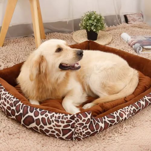 Golden Retriever allongé dans un panier pour chien confortable motif panthère, posé sur un tapis moelleux dans un intérieur cosy