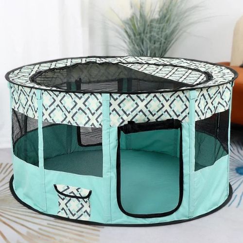 Vue d’un parc à chien transportable vert, idéal pour offrir un espace sécurisé lors des voyages ou à la maison.