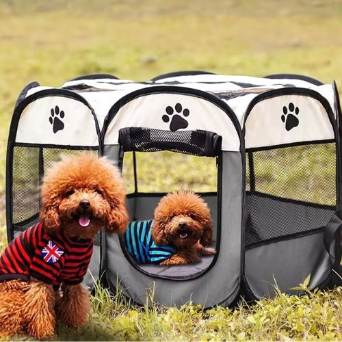 Un parc pour chien pliable posé sur le pelouse avec deux petits caniches marron un à l'intérieur et le deuxième à l'extérieur.