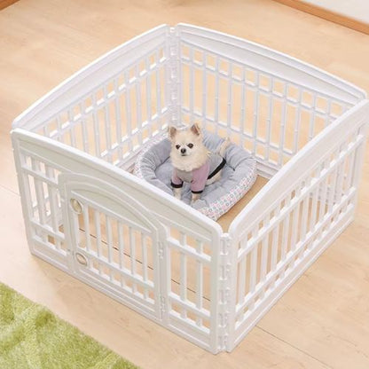 Un chihuahua dans un parc pour chien intérieur posé dans un salon lumineuse et moderne