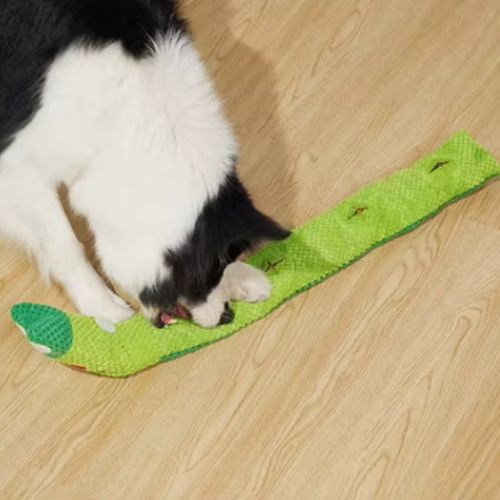Chien reniflant et cherchant des friandises dans la peluche chien interactif escargot déroulée sur le sol