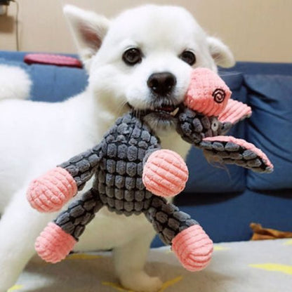 Peluche pour chien couineuse modèle âne gris, tenue dans la gueule par un petit chien blanc sur un canapé.