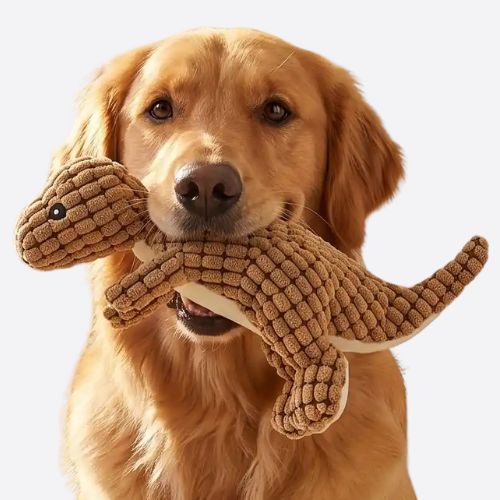Portrait d'un Golden Retriever tenant une peluche pour chien dinosaure marron au fini doux.